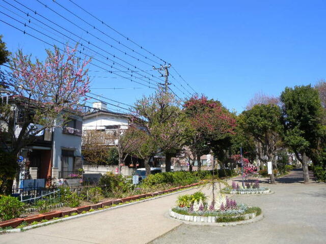 さいわい緑道 (844m)