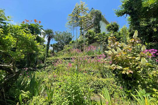 庭／ガーデニングや家庭菜園がお楽しみいただけます／撮影日2025-06-05