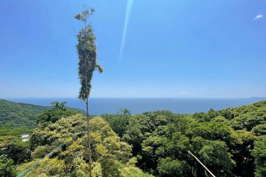 住戸からの眺望／相模湾を一望　陽当たり良好です／撮影日2025-06-05