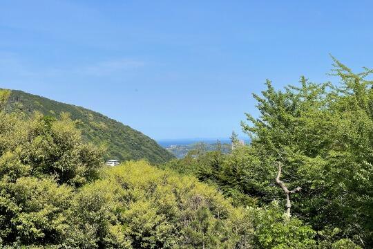 住戸からの眺望／相模湾遠望　秋には紅葉をお愉しみいただけます／撮影日2026-05-02