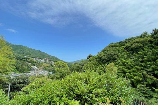 住戸からの眺望／緑豊かな山並みを望みます／撮影日2026-07-09