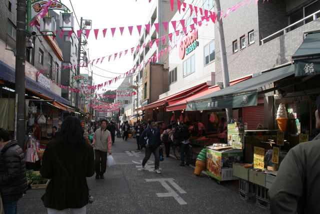 新鮮な野菜や魚など、値段も安く手に入る、市内でも有名商店街『松原商店街』 (480m)