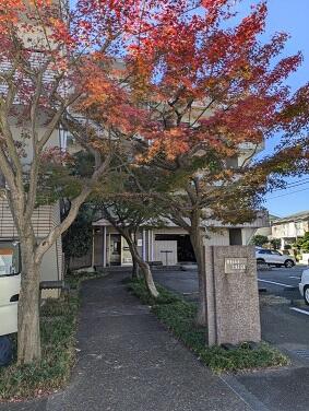 現地（外観）