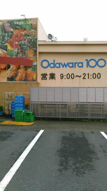 小田原百貨店栢山店 (259m)
