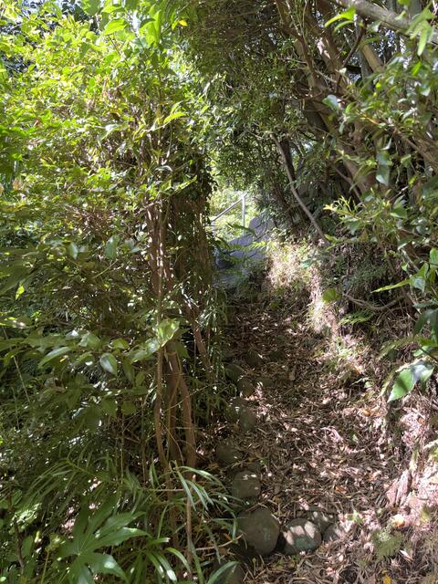 detached 神奈川県小田原市久野