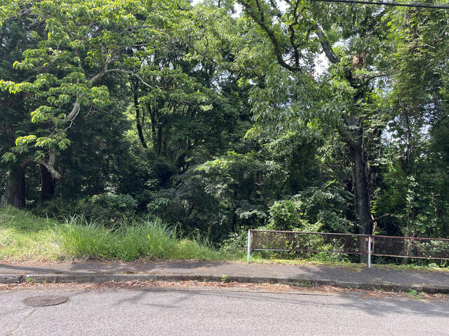 ハトマークサイト】神奈川県南足柄市の売地の検索結果