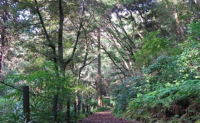 真鶴半島自然公園 (3,200m)
