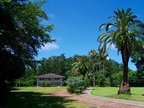 お林展望公園 (2,400m)