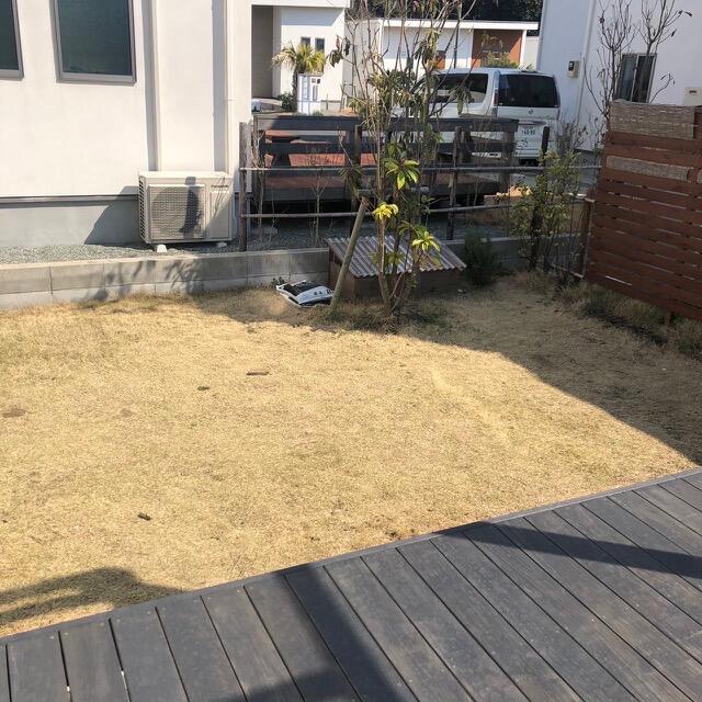 庭