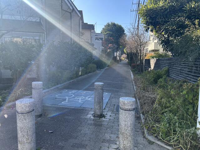 相模緑道緑地 (82m)