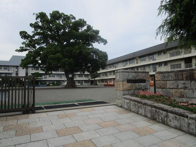 相模原市立新磯小学校 (713m)