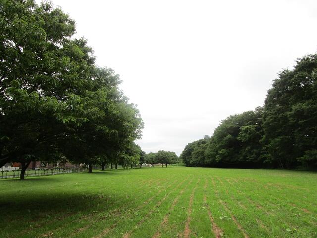 史跡勝坂遺跡公園 (727m)