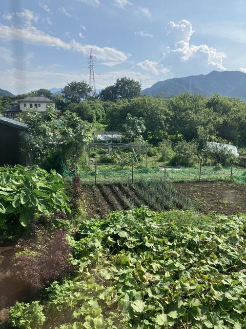 住戸からの眺望／撮影日2026-07-30