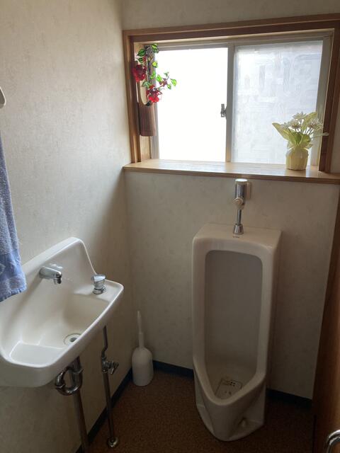 detached 新潟県糸魚川市大字田伏 地図を見る