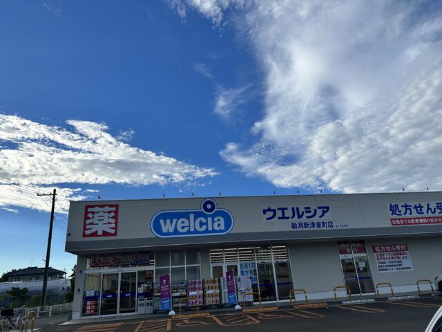 ウエルシア新潟新津東町店 (1,103m)
