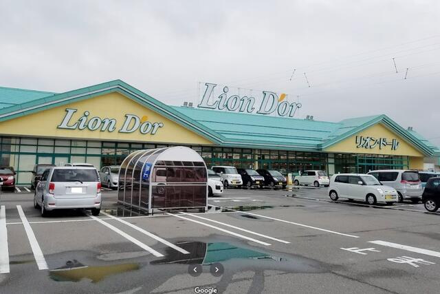 リオン・ドール新津店 (772m)