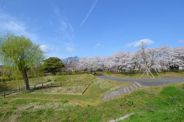 城跡公園 (750m)