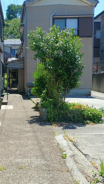 detached 新潟県三島郡出雲崎町大字石井町 地図を見る