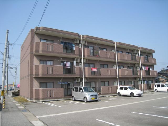 現地（外観）