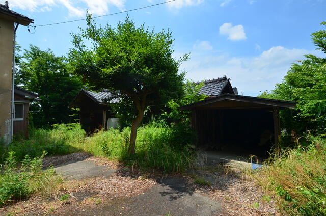 庭／駐車スペースとしても、遊び場としても利用できそうな敷地／撮影日2024-06-21