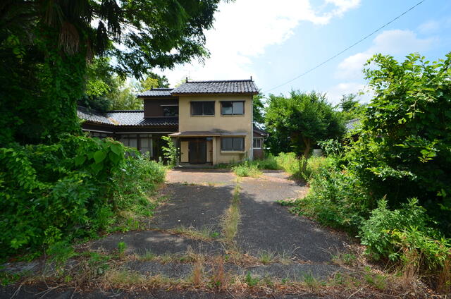 庭／暑い夏も大きな木陰を作ってくれます／撮影日2024-06-21