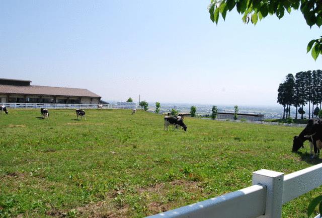 丘の夢牧場 (3,355m)