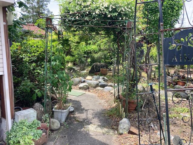 庭／撮影日2025-08-08