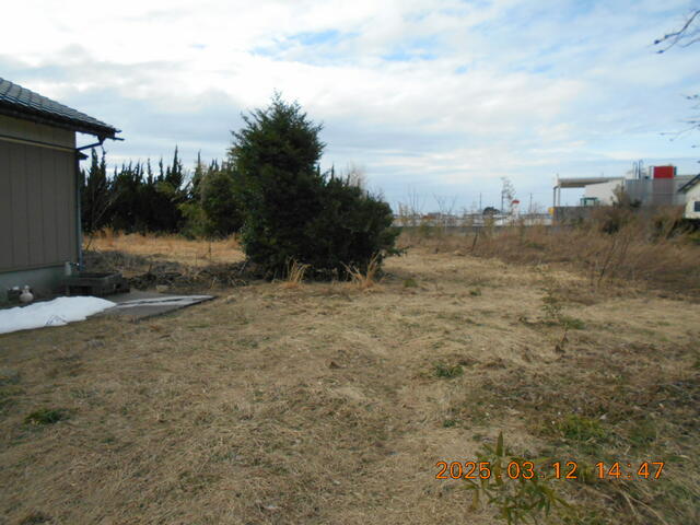 庭／撮影日2025-03-12