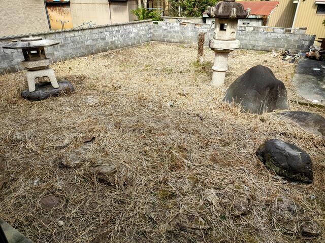 庭／撮影日2025-04-02