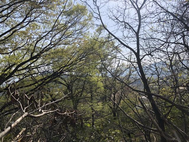 detached 山梨県甲州市塩山千野