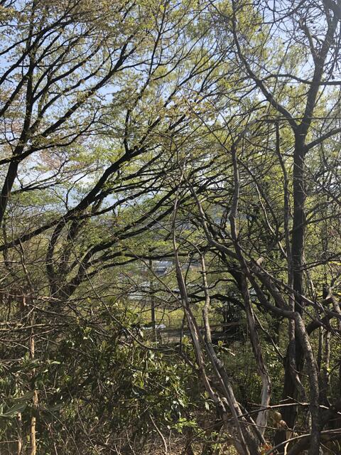 detached 山梨県甲州市塩山千野