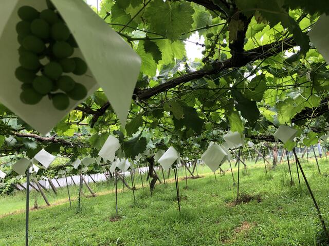 detached 山梨県甲州市塩山赤尾