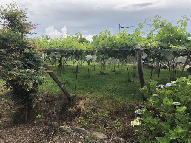 detached 山梨県甲州市塩山赤尾