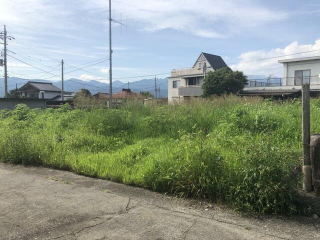 撮影日2026-07-14