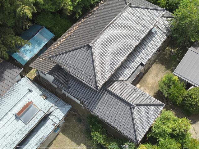 庭／撮影日2026-05-26