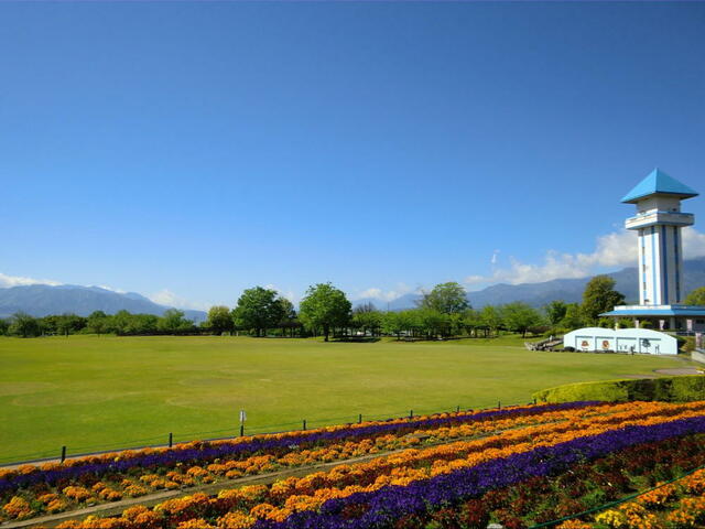 赤坂台総合公園　（ドラゴンパーク） (800m)