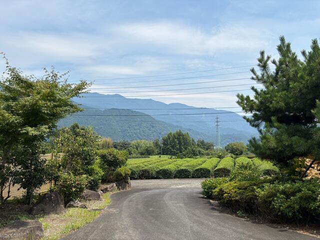 detached 山梨県南巨摩郡南部町本郷 地図を見る