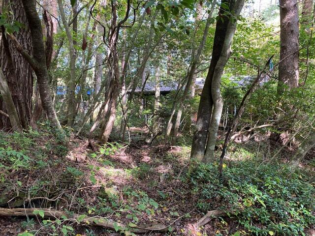 現地