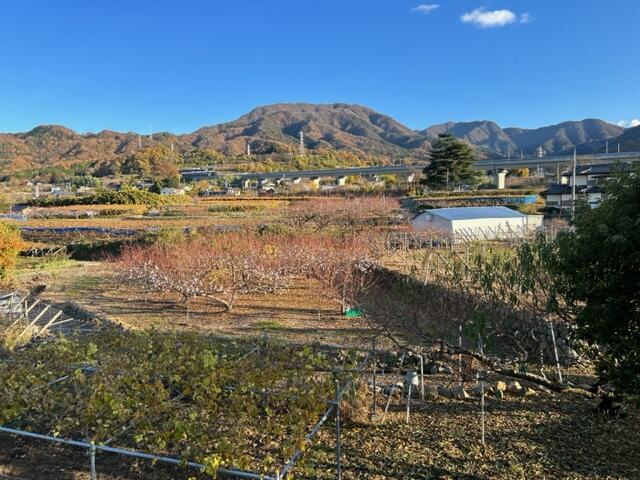 detached 山梨県笛吹市八代町竹居 地図を見る
