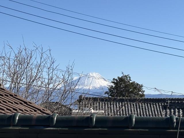 detached 山梨県韮崎市龍岡町下條南割 地図を見る