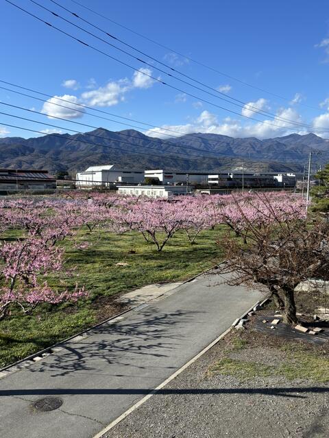 detached 山梨県甲州市勝沼町綿塚 地図を見る