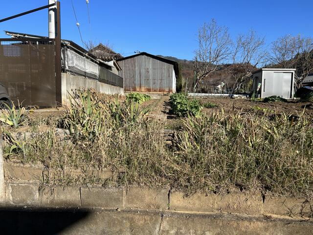 撮影日2023-12-04