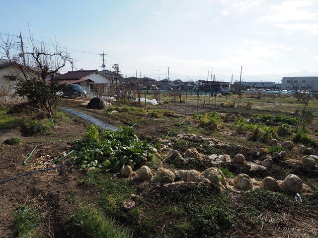 【ハトマークサイト】山梨県甲斐市玉川の 売地