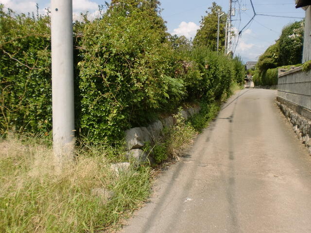 detached 山梨県笛吹市石和町下平井