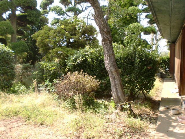 detached 山梨県笛吹市石和町下平井