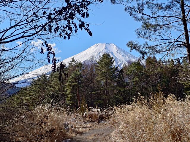 物件から見える富士山