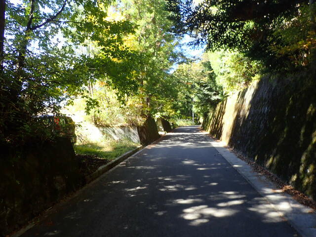 接道道路