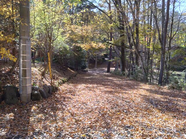 detached 山梨県南都留郡鳴沢村 地図を見る