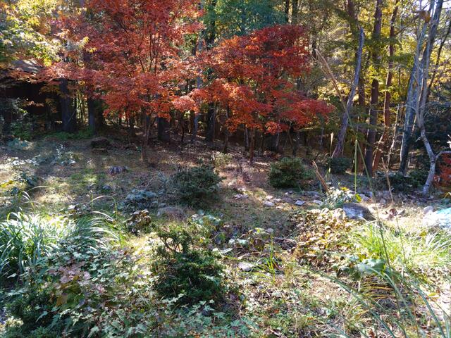 detached 山梨県南都留郡鳴沢村 地図を見る