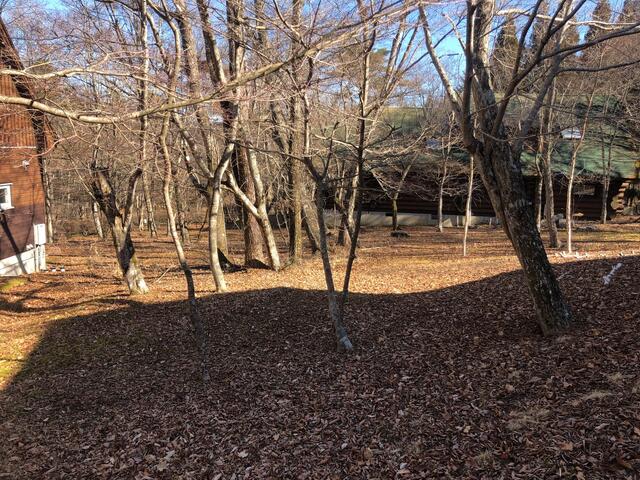 現地（外観）／敷地